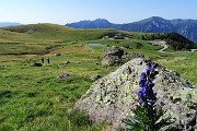 11 Vista sul centro dei Piani dell'Avaro